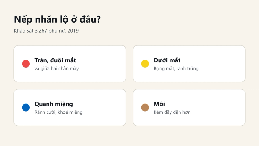 Đồ hoạ các vùng nếp nhăn ở người hút thuốc: trán, đuôi mắt, dưới mắt, quanh miệng, môi