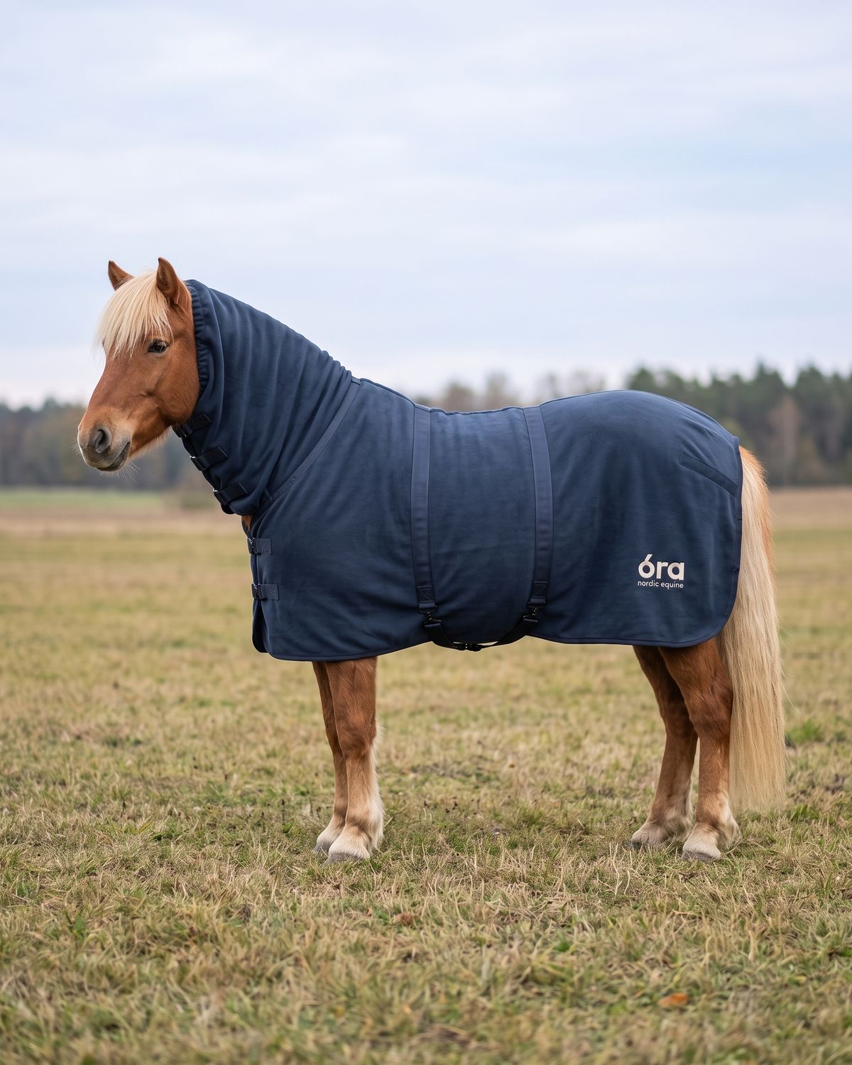 Óra Midnight Fleece-Abschwitzdecke mit Halsteil in Navyblau an einem hellen Isländer-Fuchs auf der Herbstweide, mit óra-Logo auf der Hinterhand