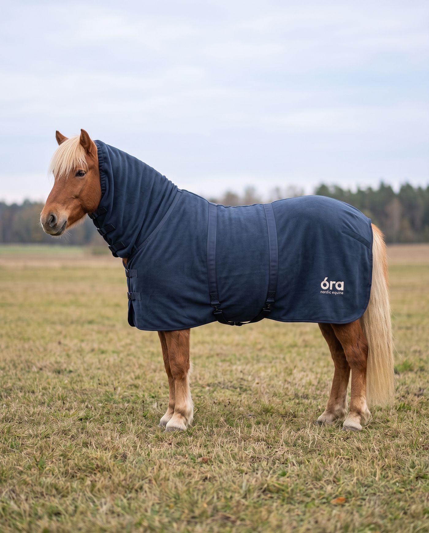 Heller Isländer-Fuchs trägt die Óra Midnight in Navyblau, eine Fleece-Abschwitzdecke mit Halsteil bis zum Genick