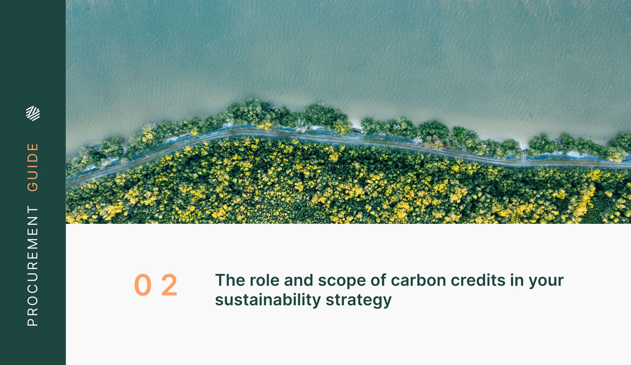 The role and scope of carbon credits in your sustainability strategy ...