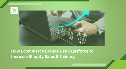 How Ecommerce Brands Use Salesforce to Increase Shopify Sales Efficiency