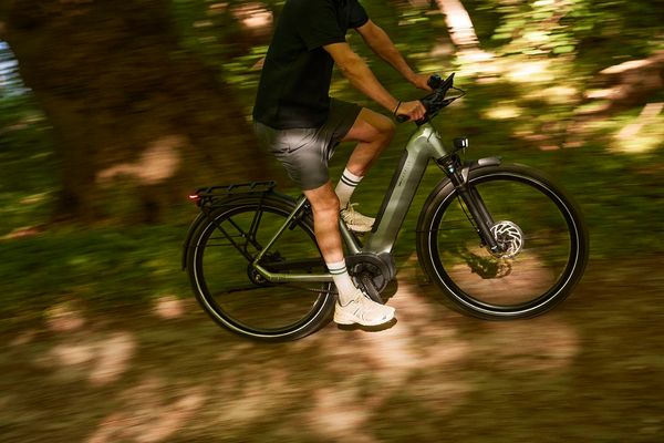 Rider on a Gazelle Ultimate e-bike on a wooded trail