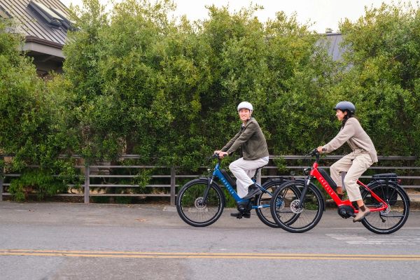 Two riders on Gazelle Medeo e-bikes along a hedge-lined street