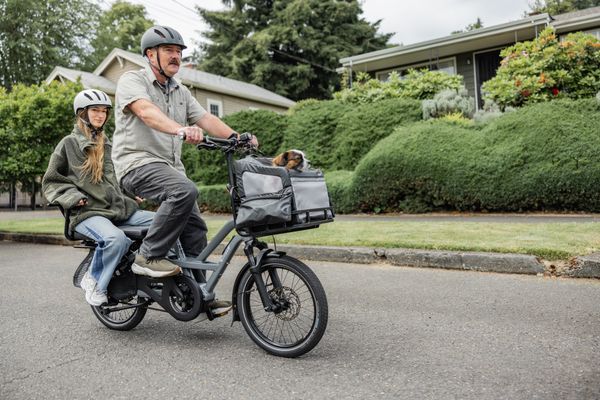 Parent riding a Tern HSD with a child on the back and a dog in the front basket