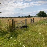 Overtagelse og indvigelse gallery image