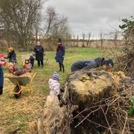 Haveaffald gallery image