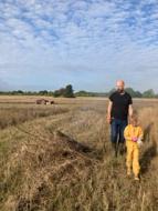 Marken er mejet, billede 3
