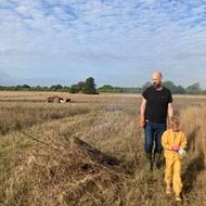 Marken er mejet gallery image