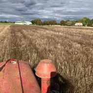 Marken er mejet gallery image