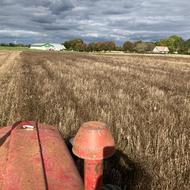 Marken er mejet gallery image