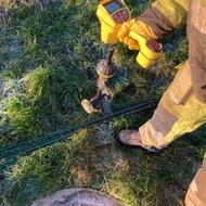 Kortlægning af dræn gallery image