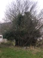 Haven, billede 8