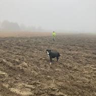 Kortlægning af dræn gallery image