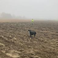 Kortlægning af dræn gallery image