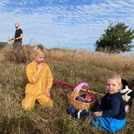 Marken er mejet gallery image