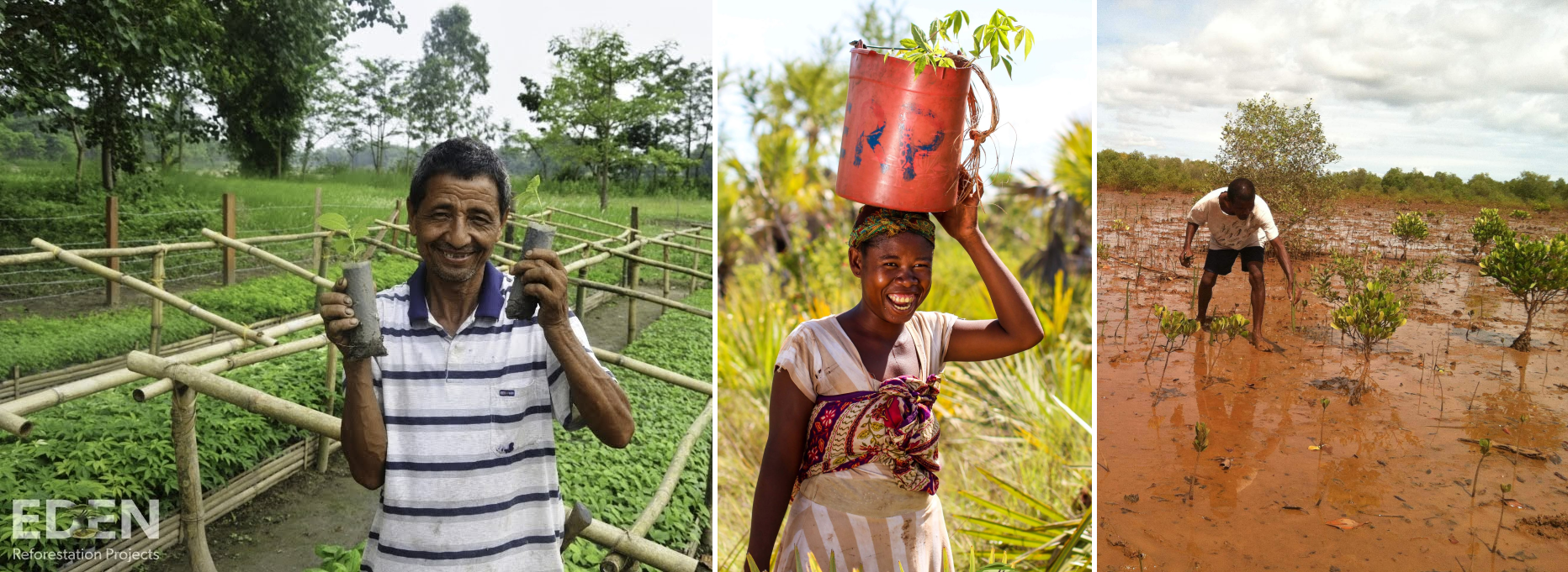 Photos from Eden Reforestation Projects