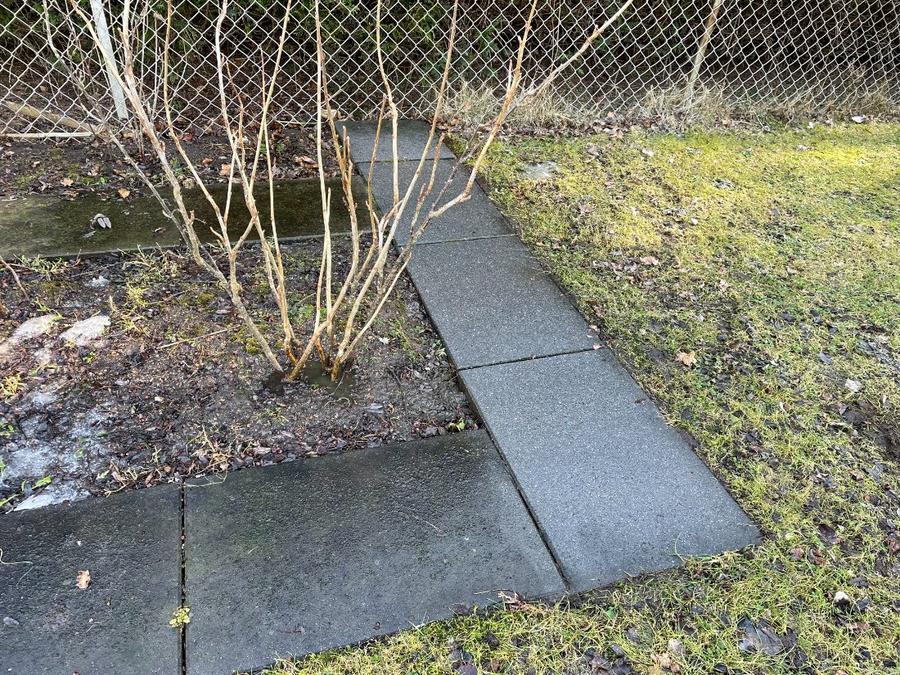 Rengöring av marksten 1