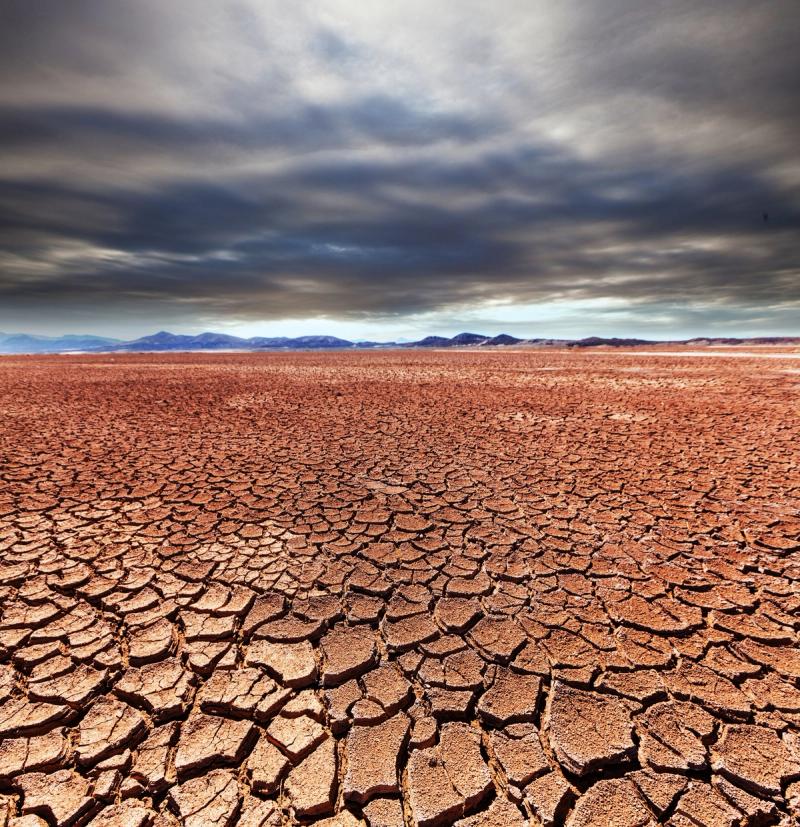 Cracked, dry ground under a heavy sky