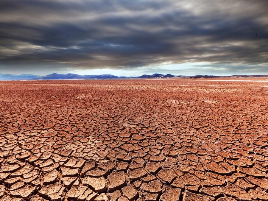 Cracked, dry ground under a heavy sky