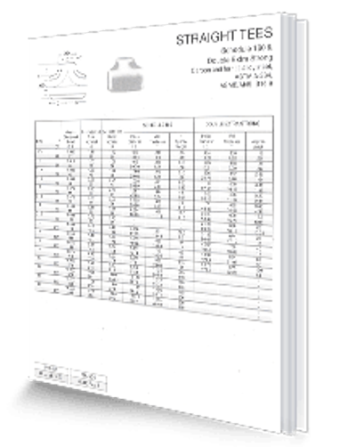 TE 90° SCH 160/XXS