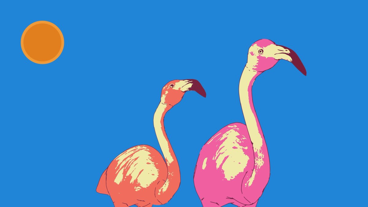 Two flamingos