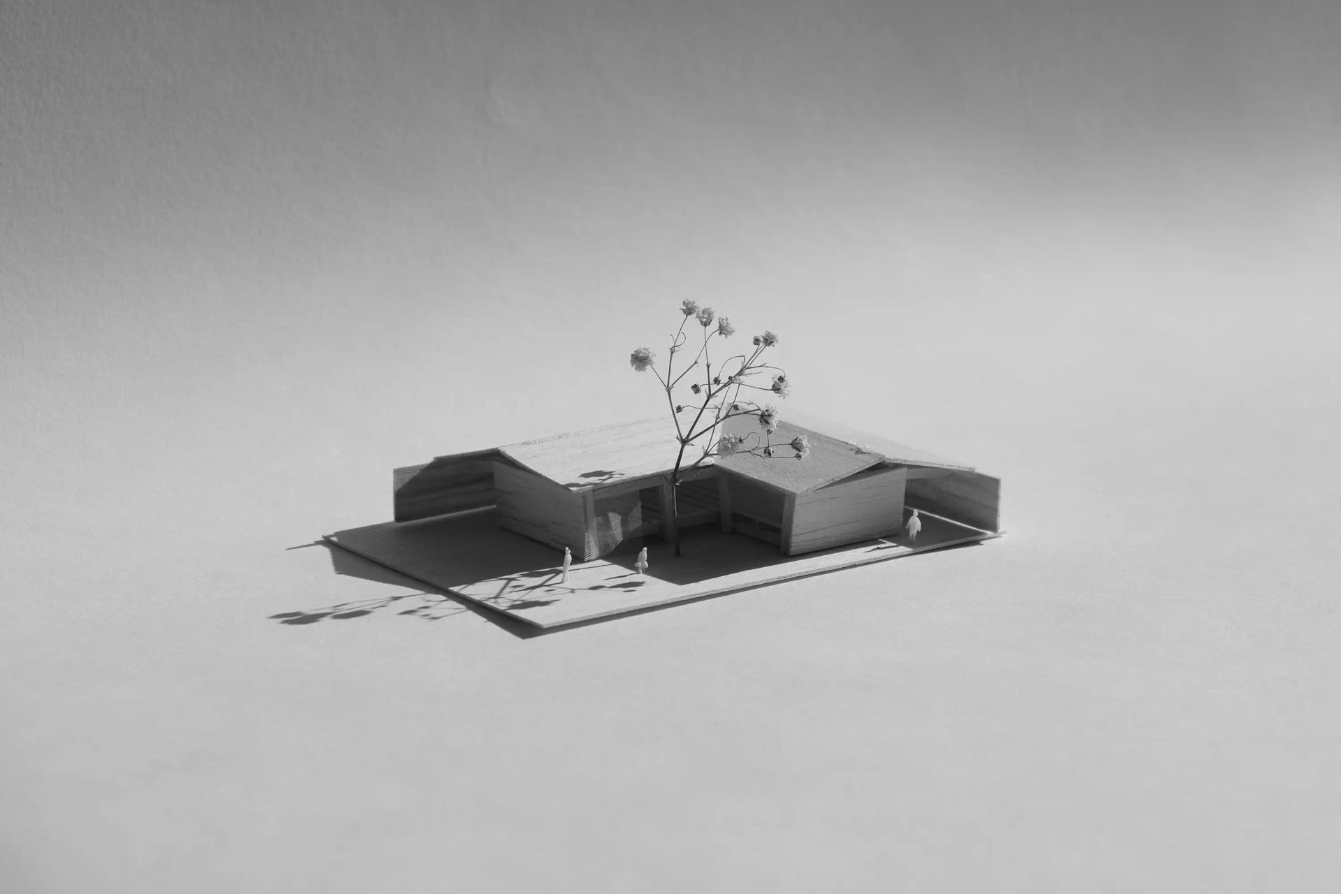 Fragmented harmony: from past to present