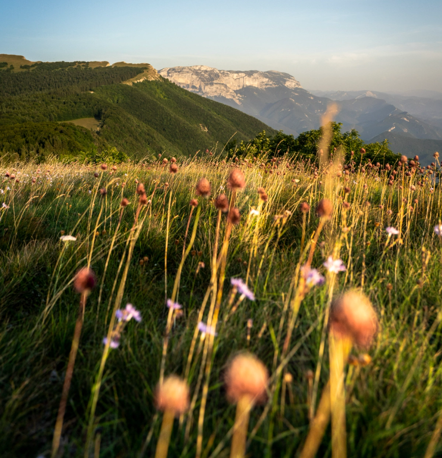 Partner Inspiration Vercors · Secteur public