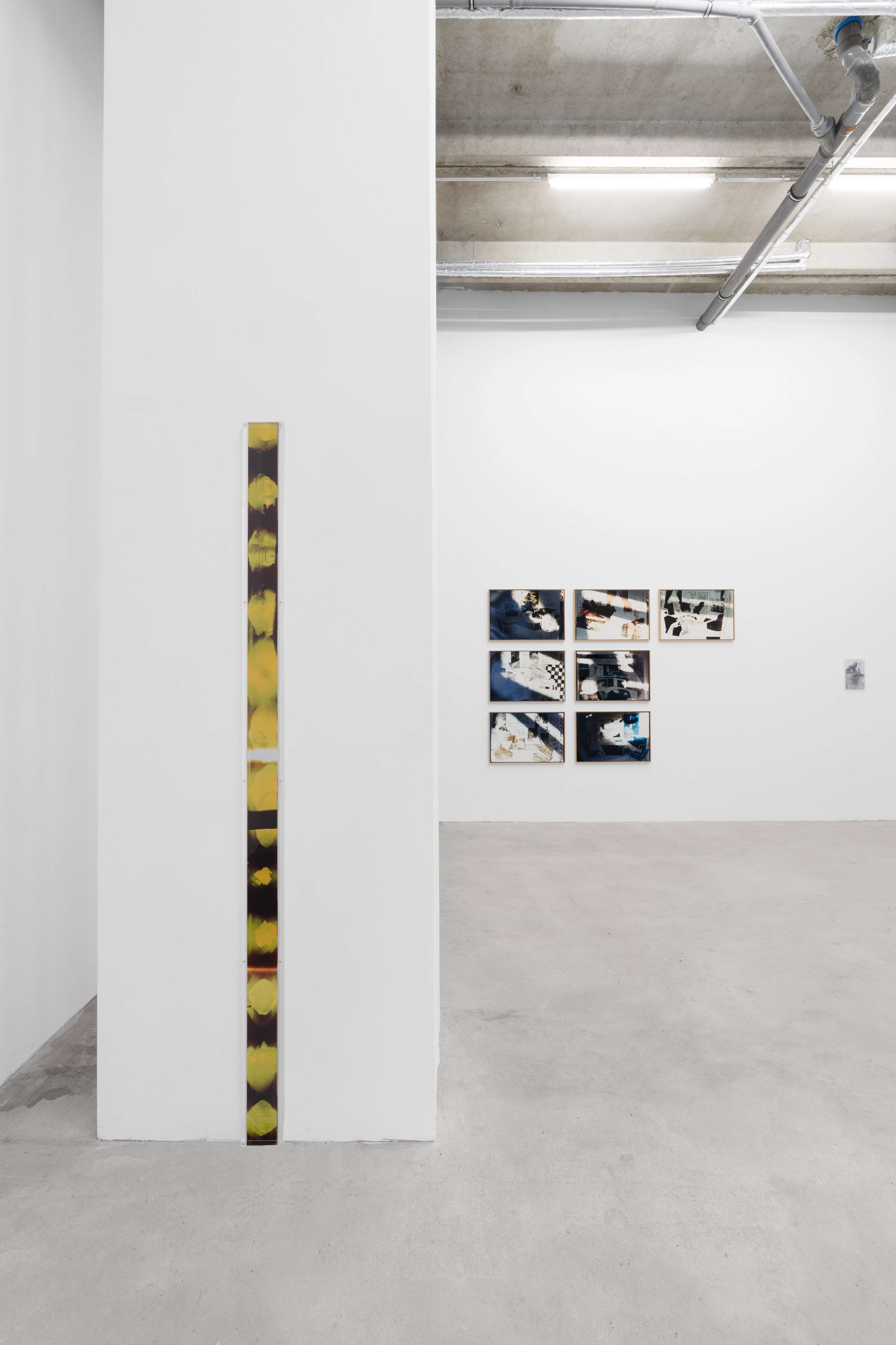 Media © Sweetwater 2025