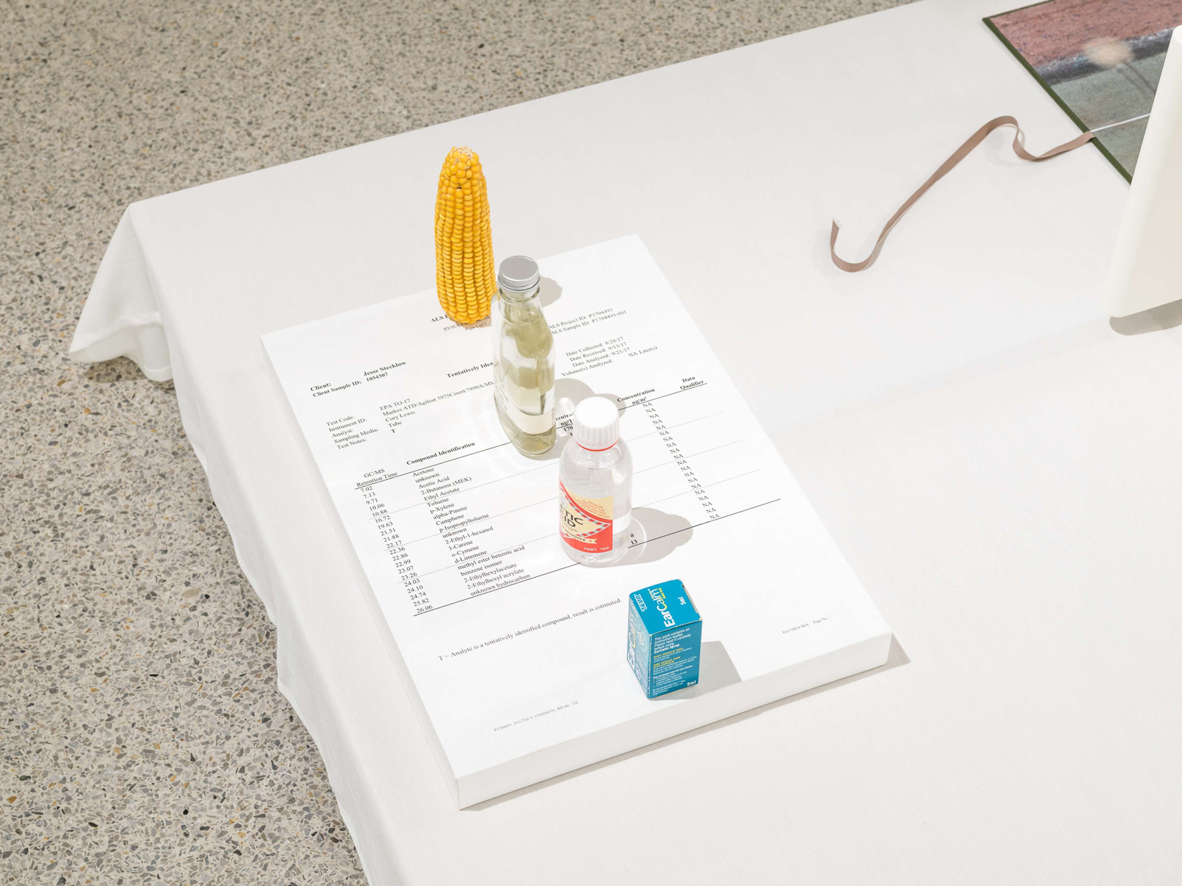 Media © Sweetwater 2025