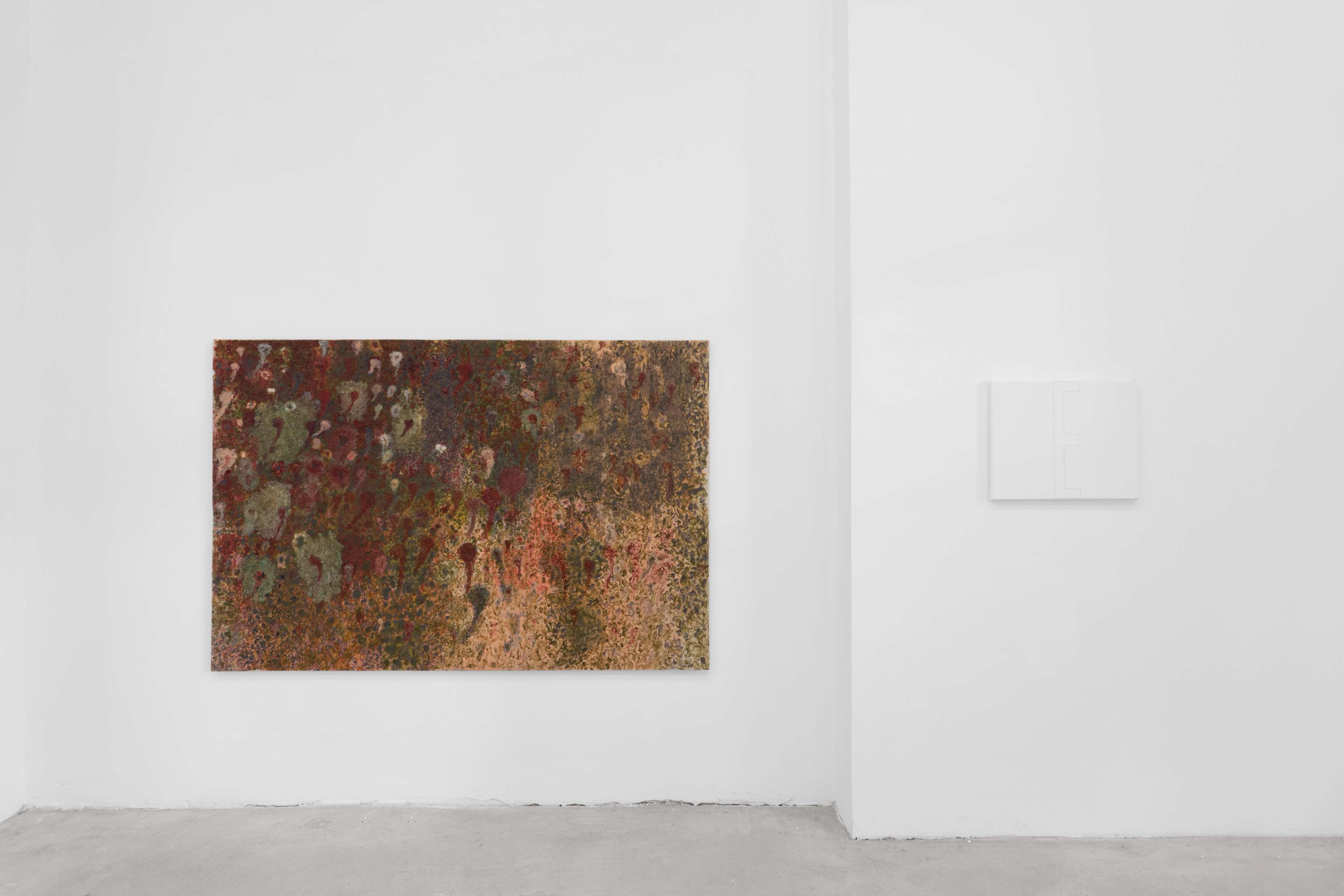 Media © Sweetwater 2025