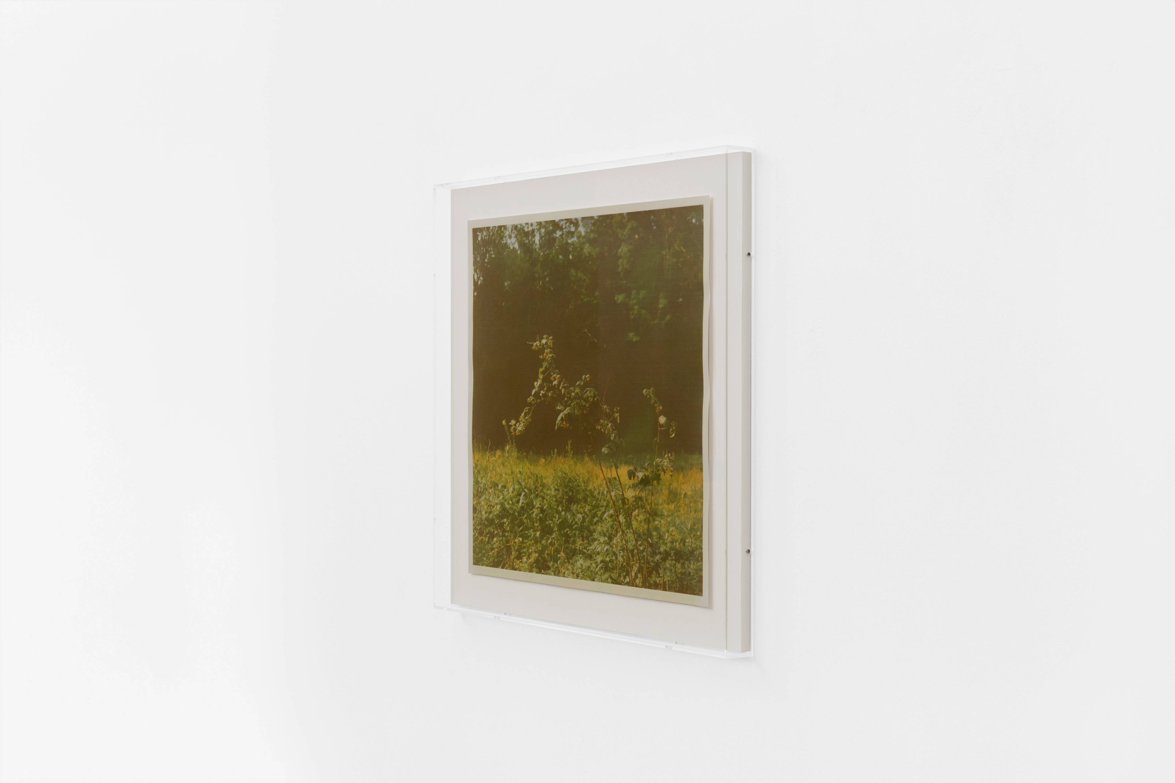 Media © Sweetwater 2025