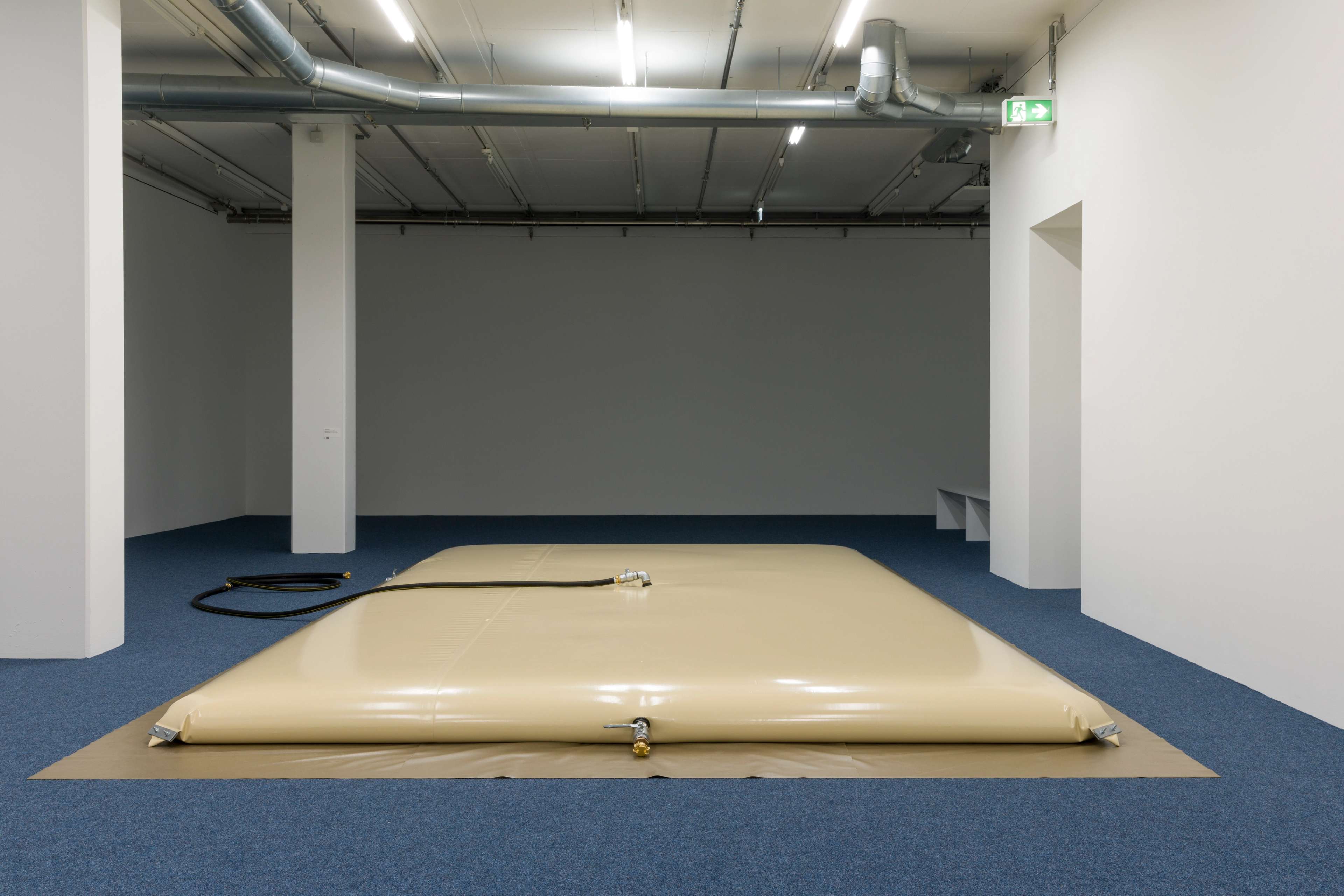 Media © Sweetwater 2025