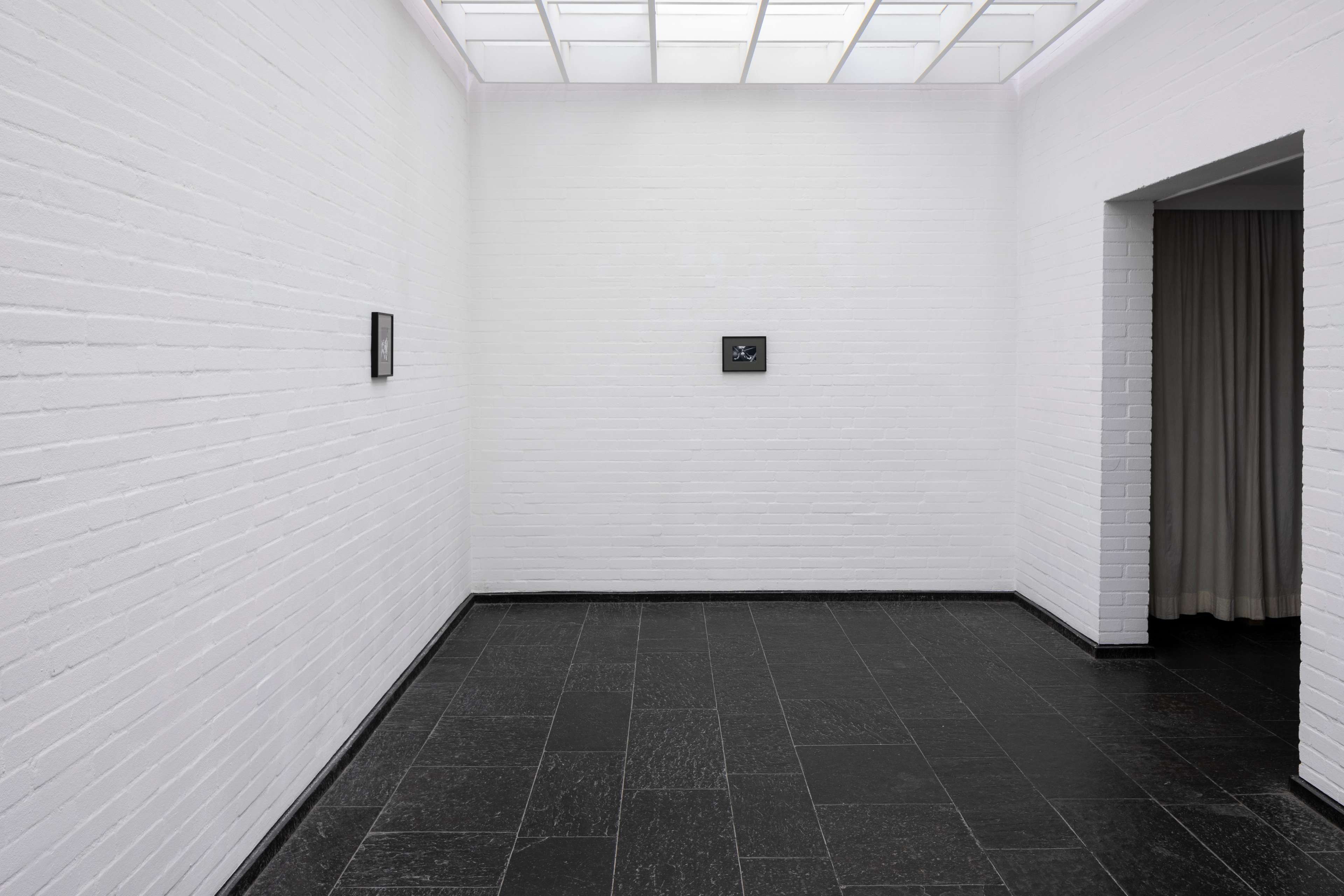 Media © Sweetwater 2025