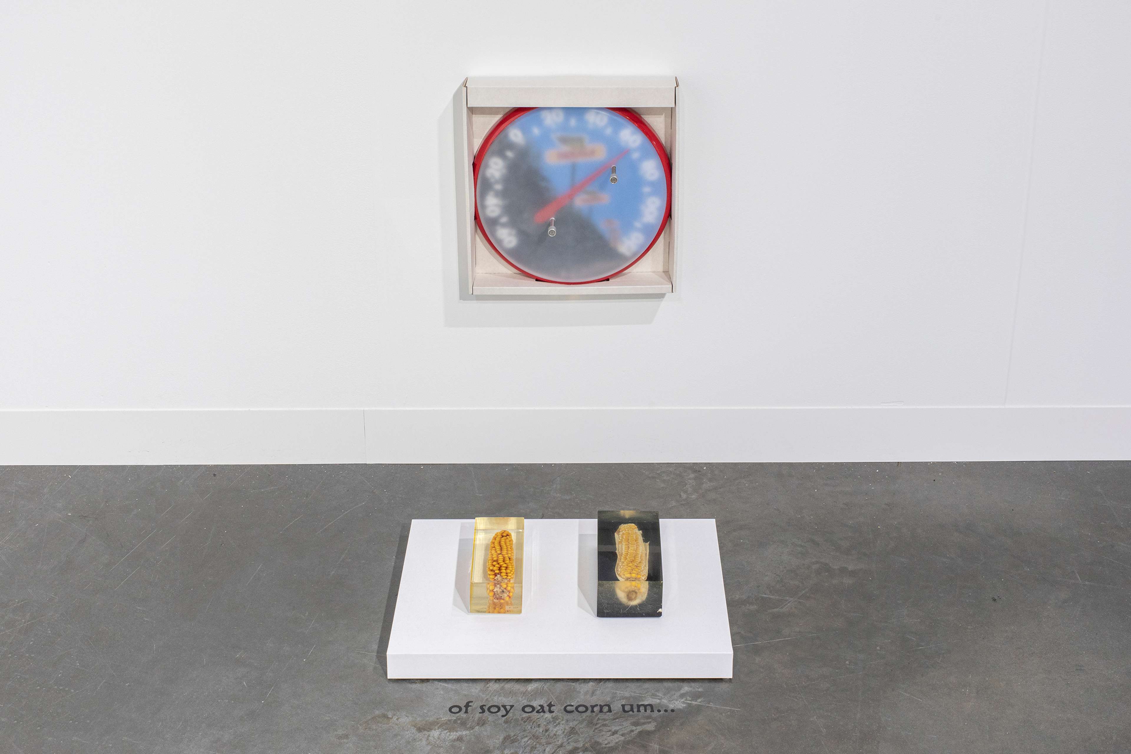 Media © Sweetwater 2025