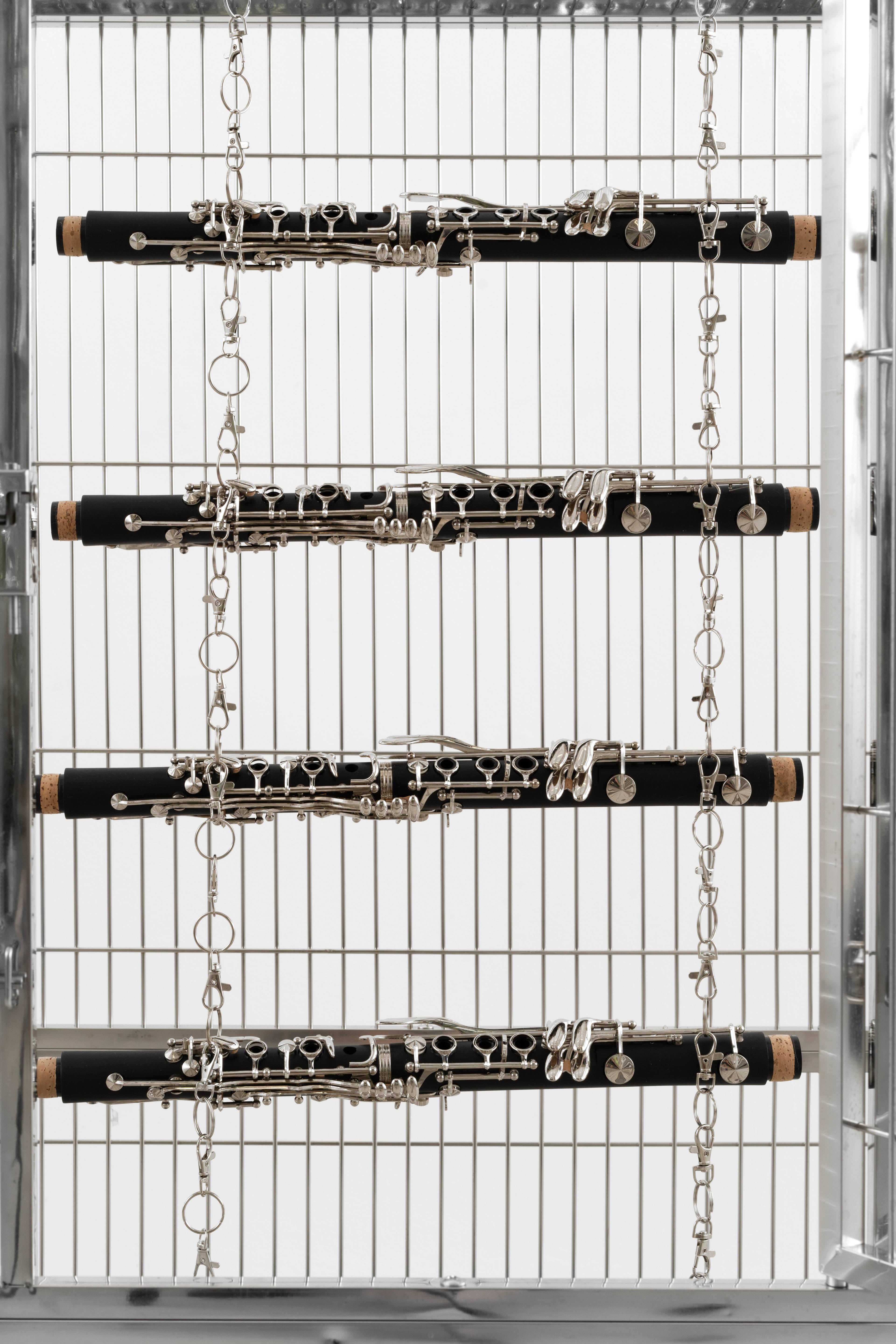 Media © Sweetwater 2025