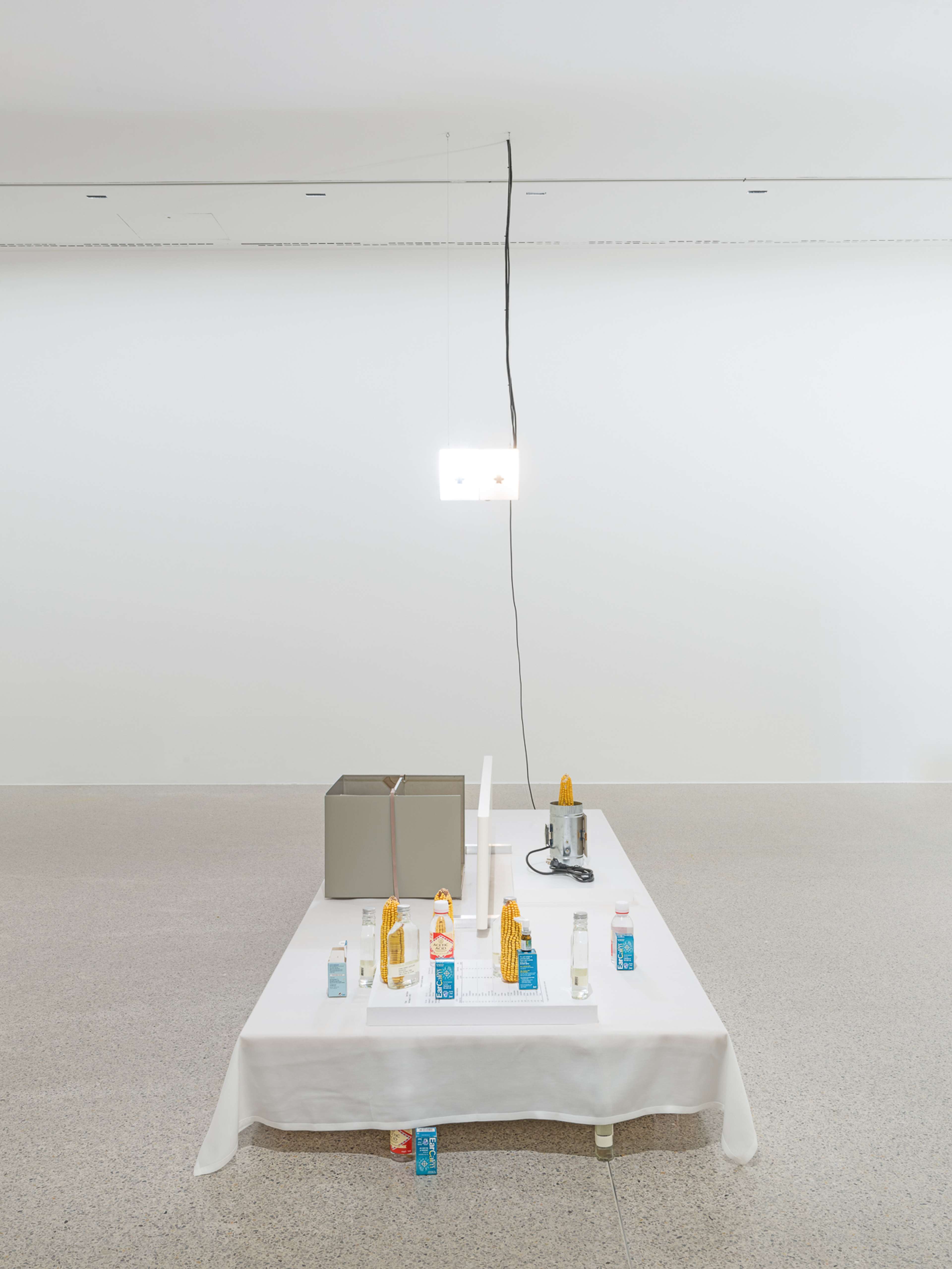 Media © Sweetwater 2025