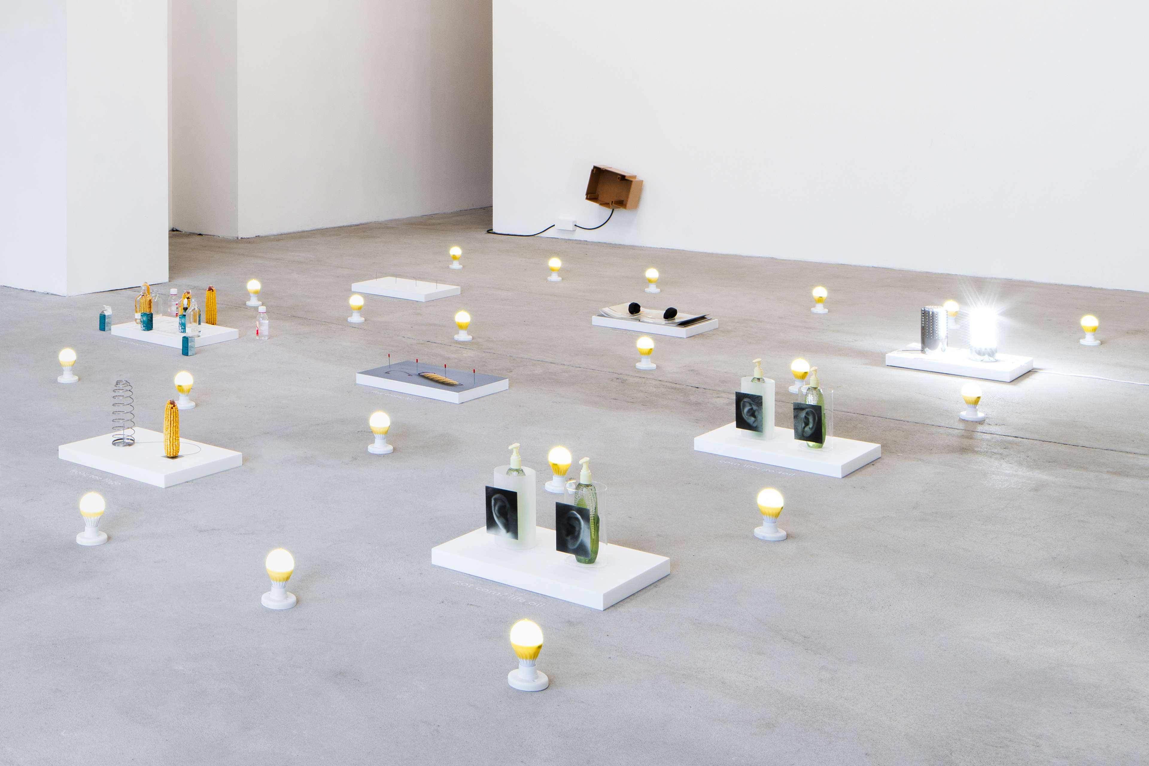 Media © Sweetwater 2025