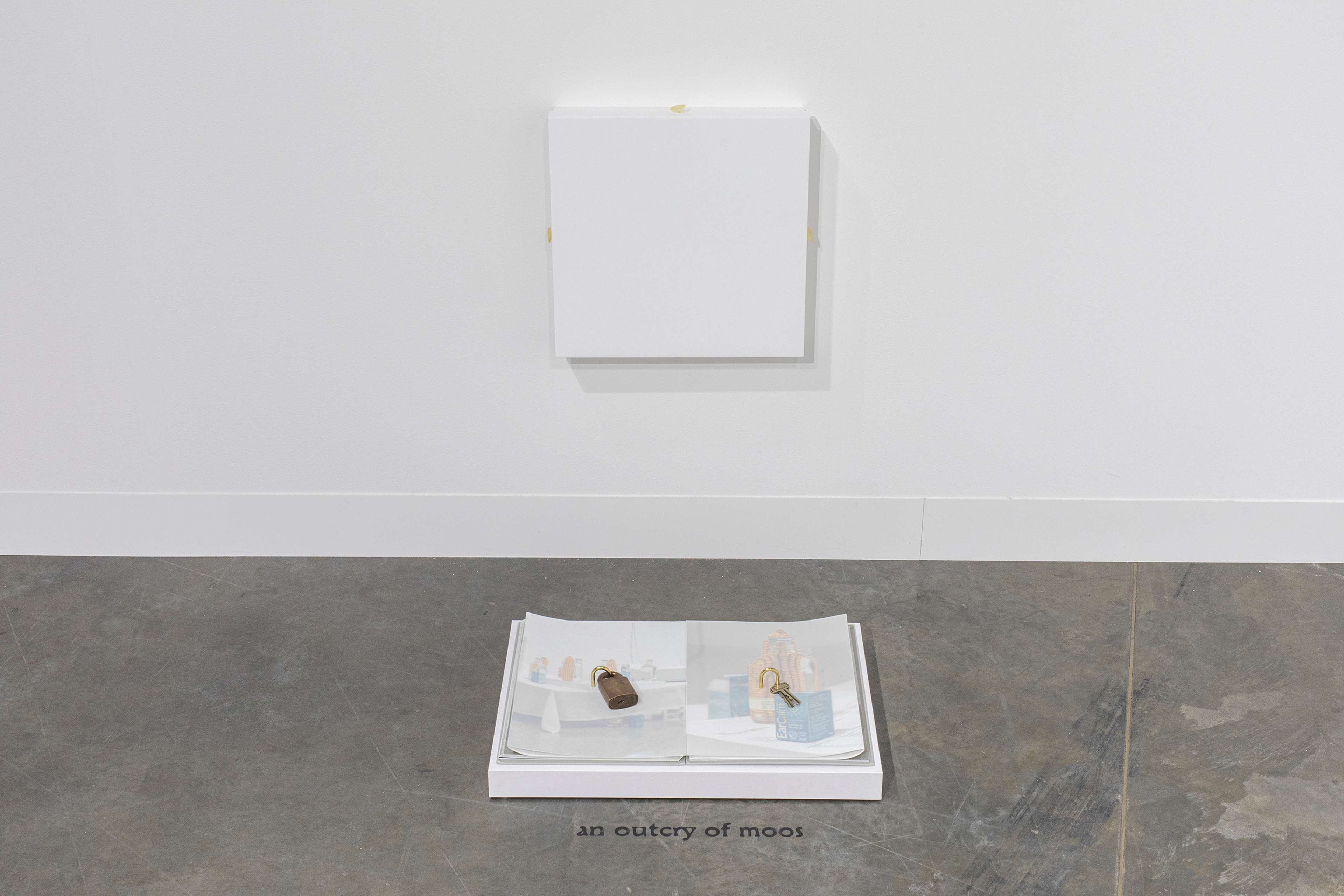 Media © Sweetwater 2025