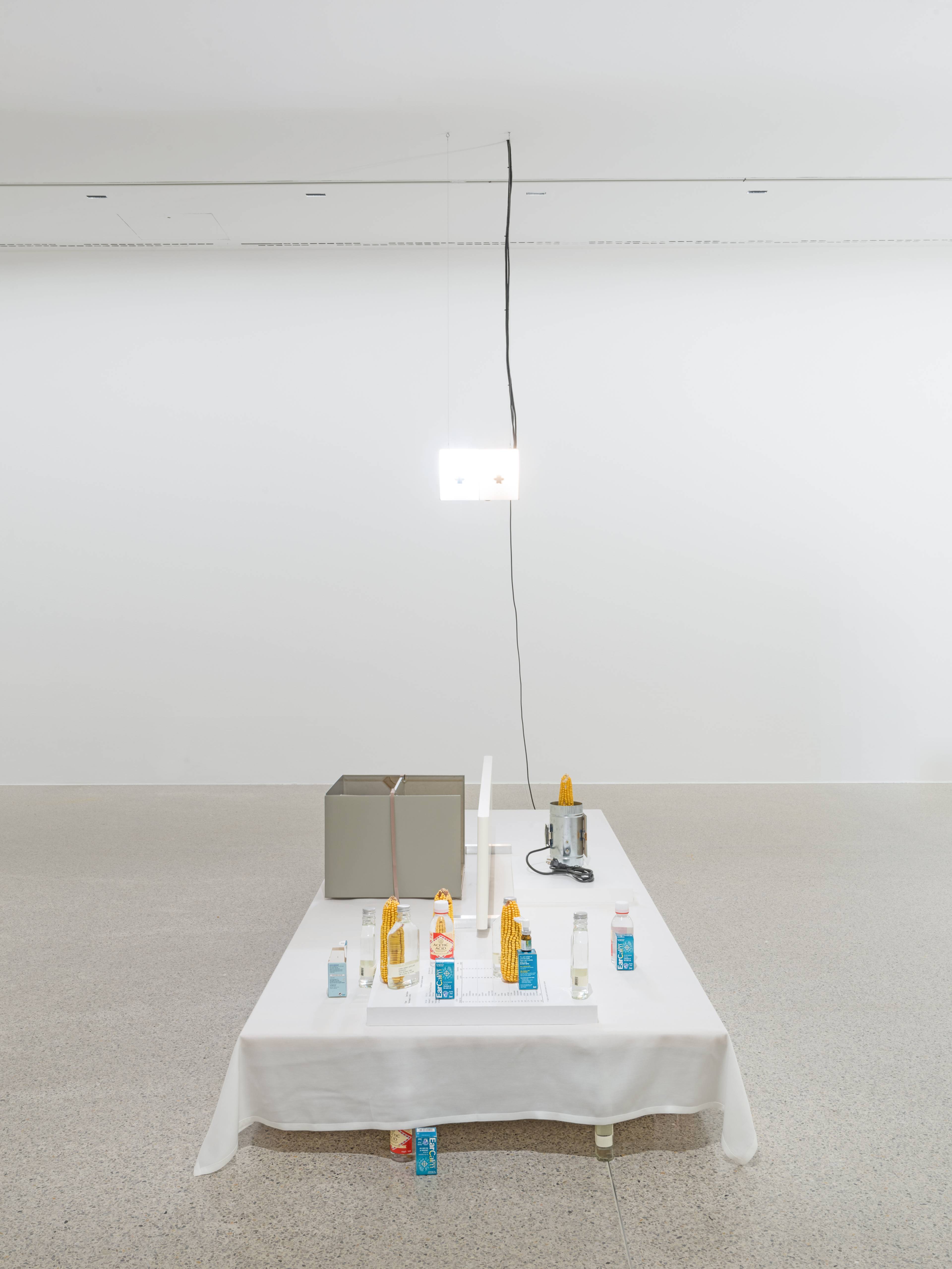 Media © Sweetwater 2025