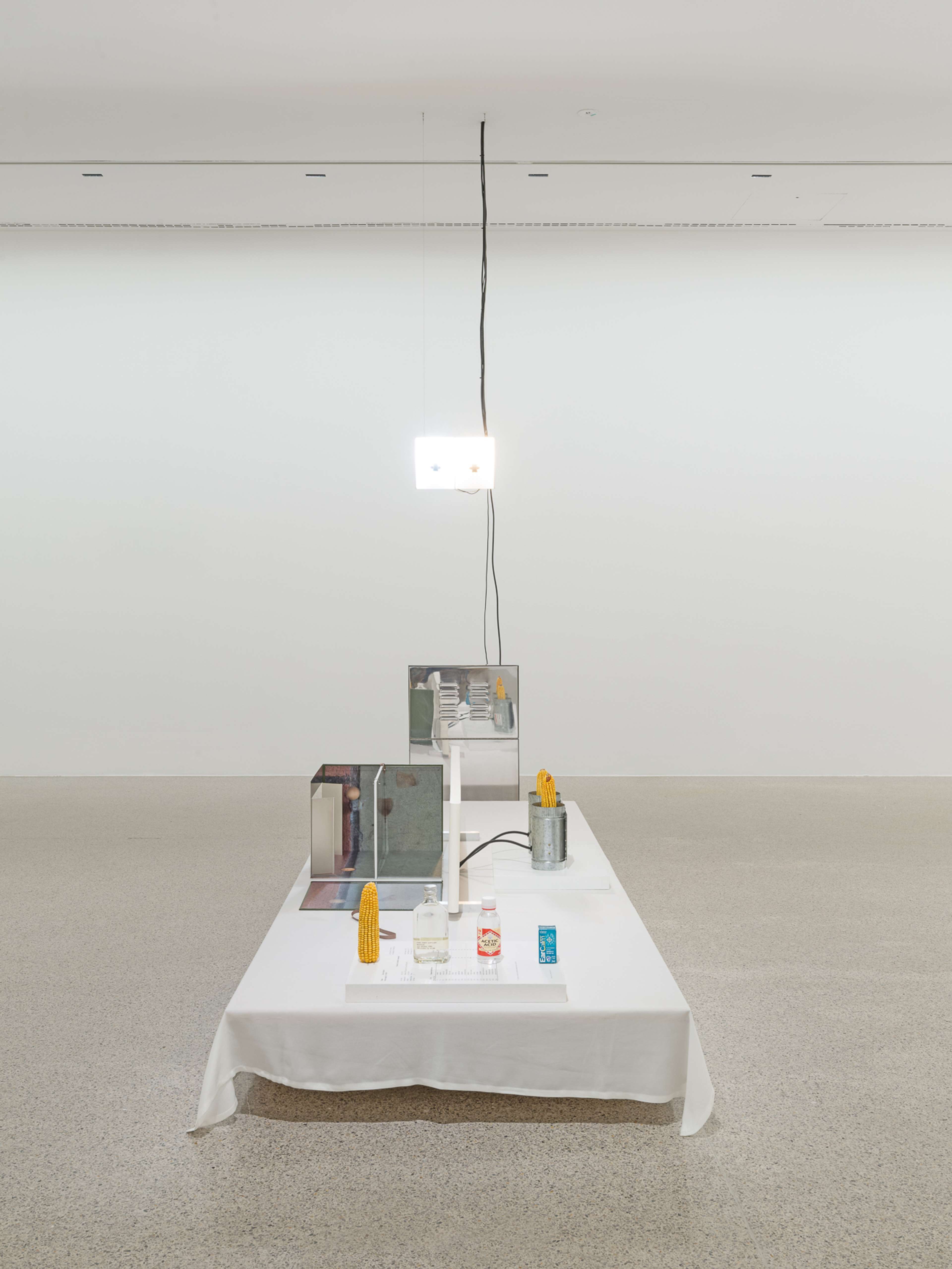 Media © Sweetwater 2025