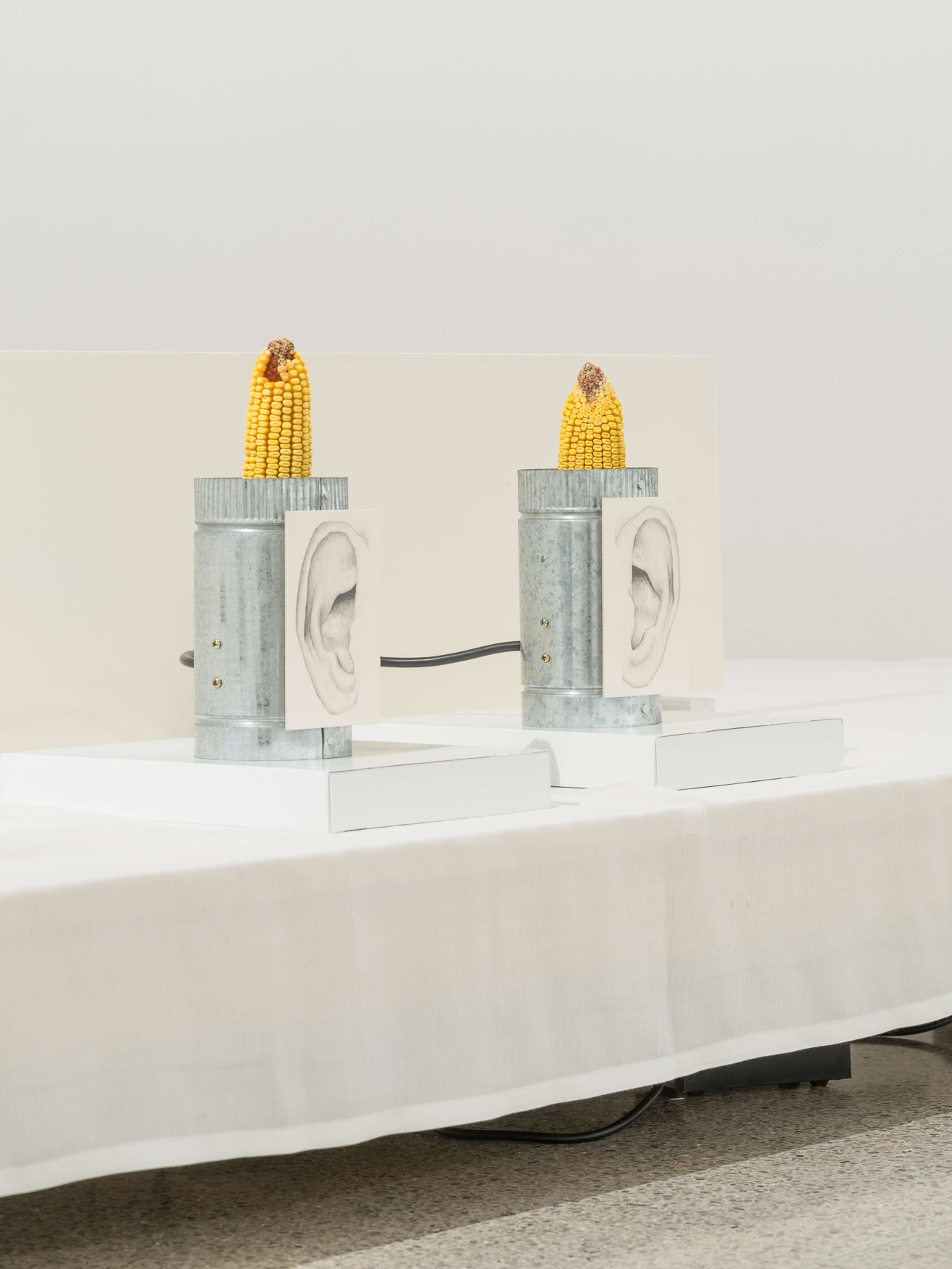 Media © Sweetwater 2025