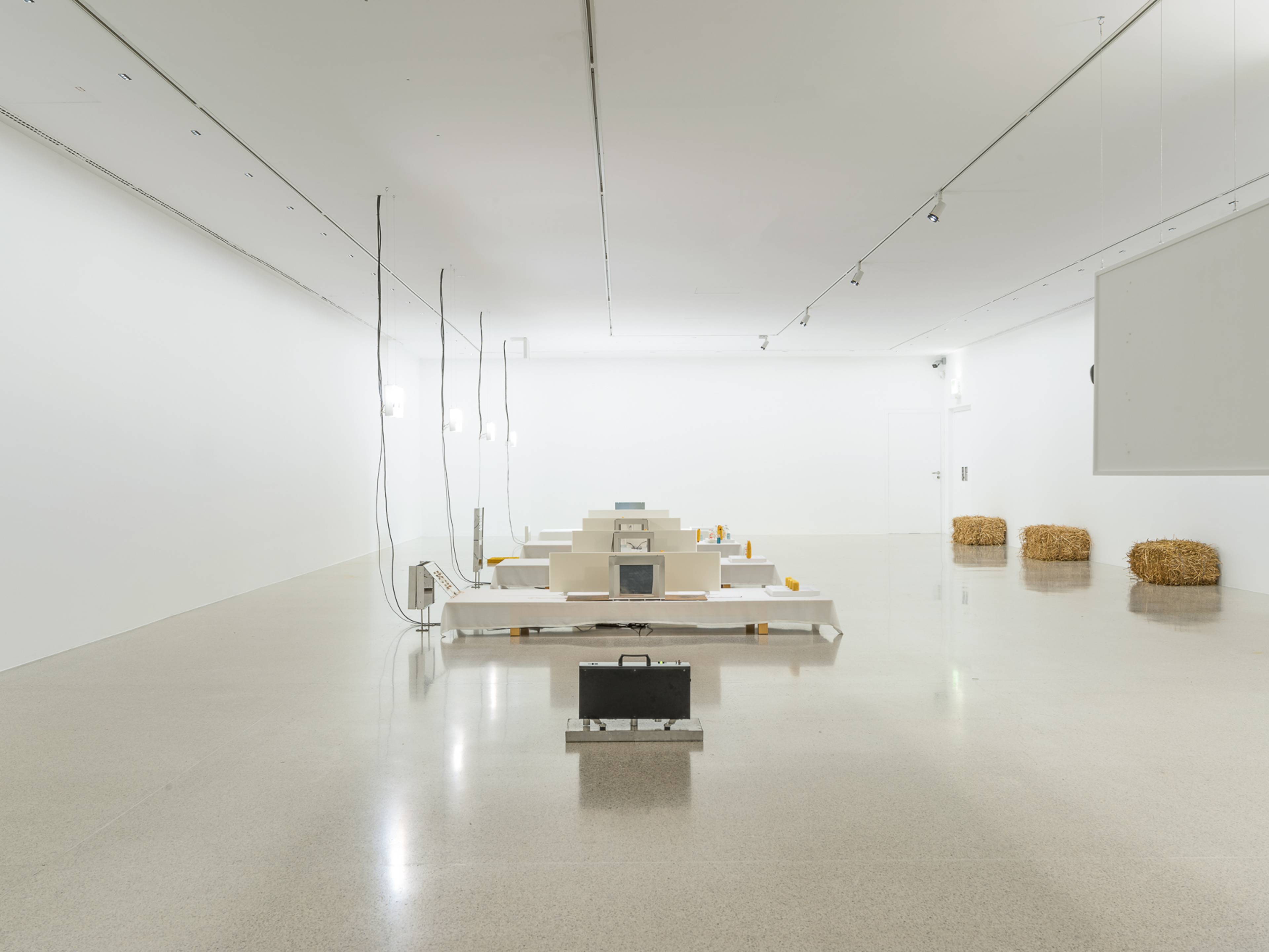 Media © Sweetwater 2025