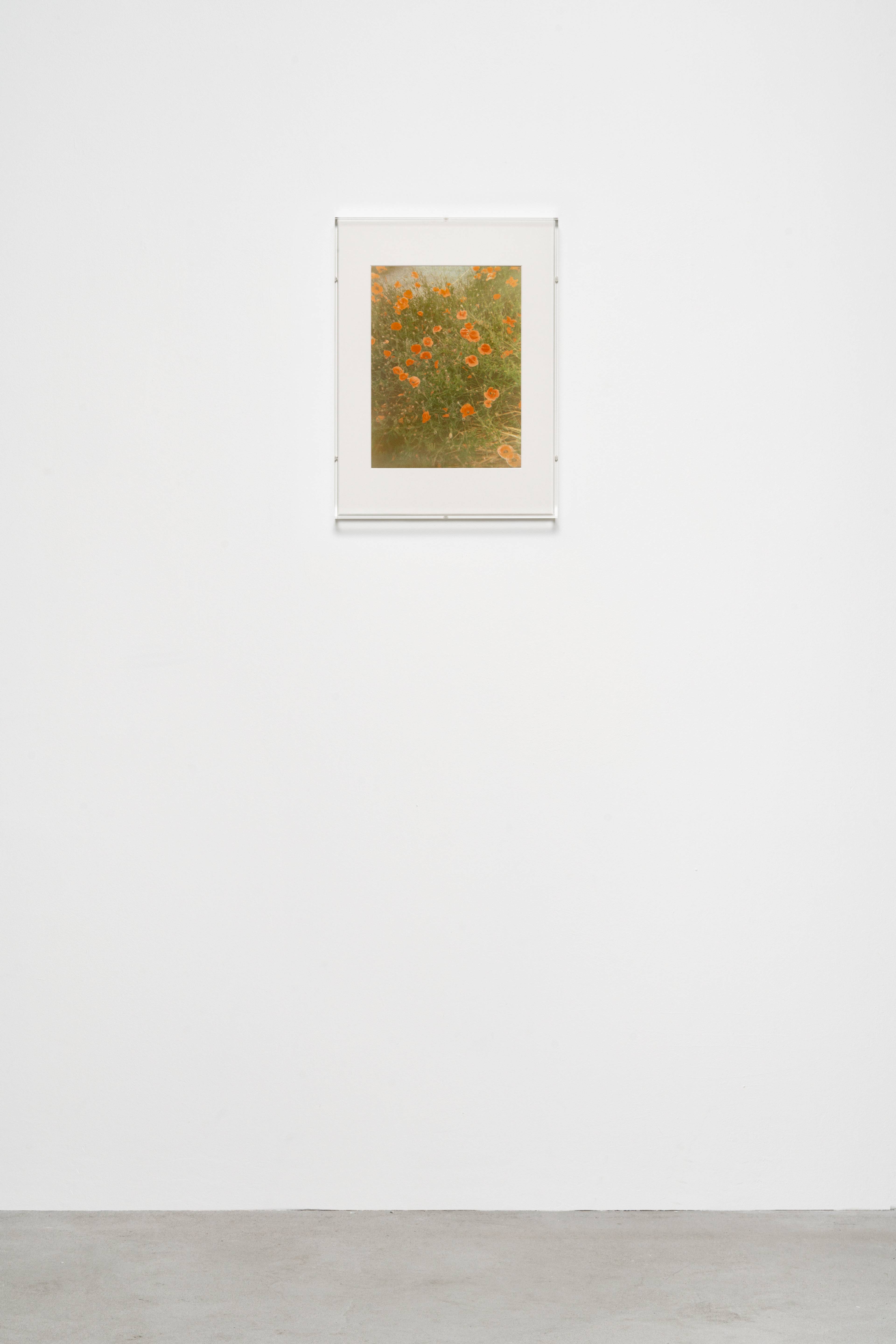 Media © Sweetwater 2025