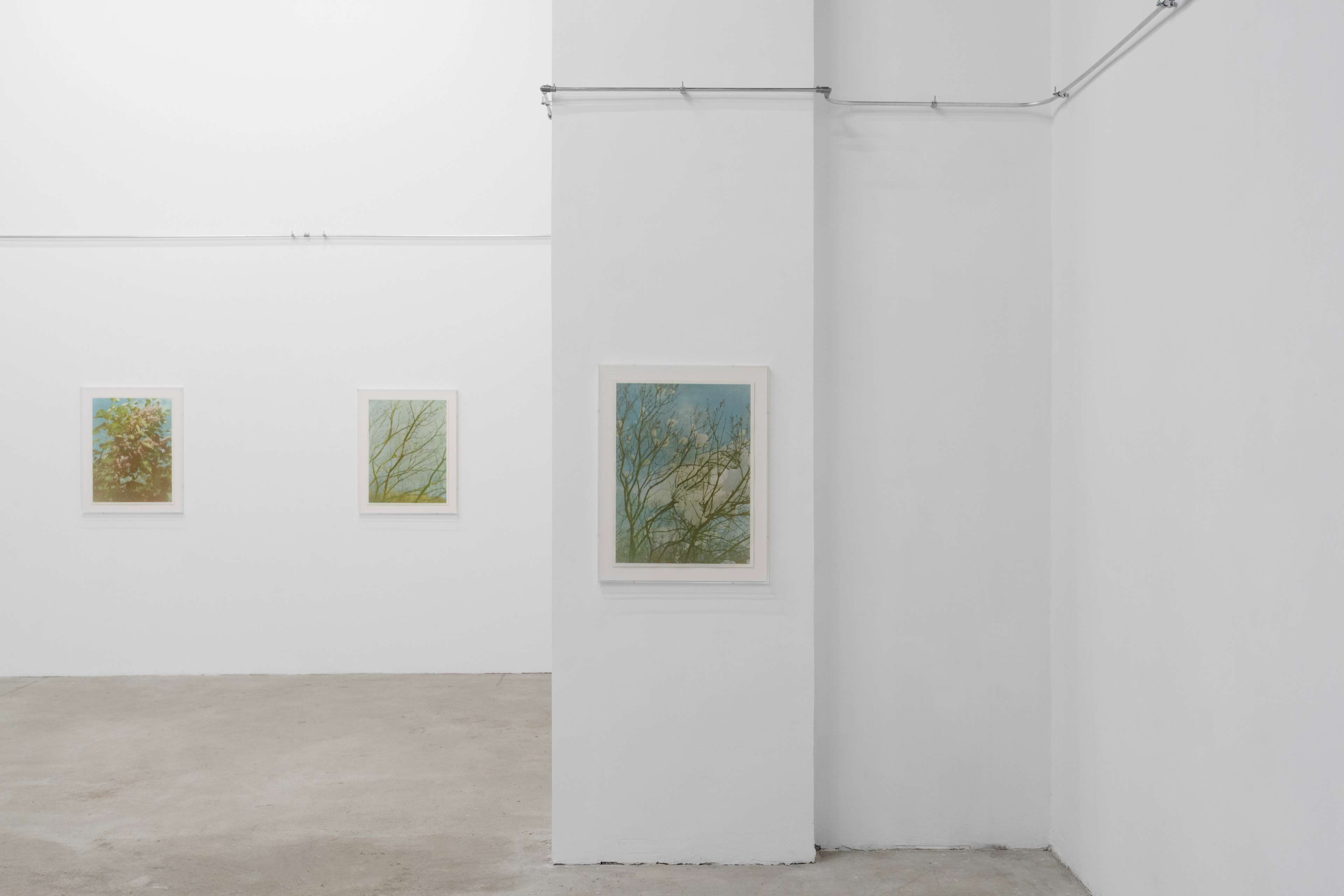 Media © Sweetwater 2025