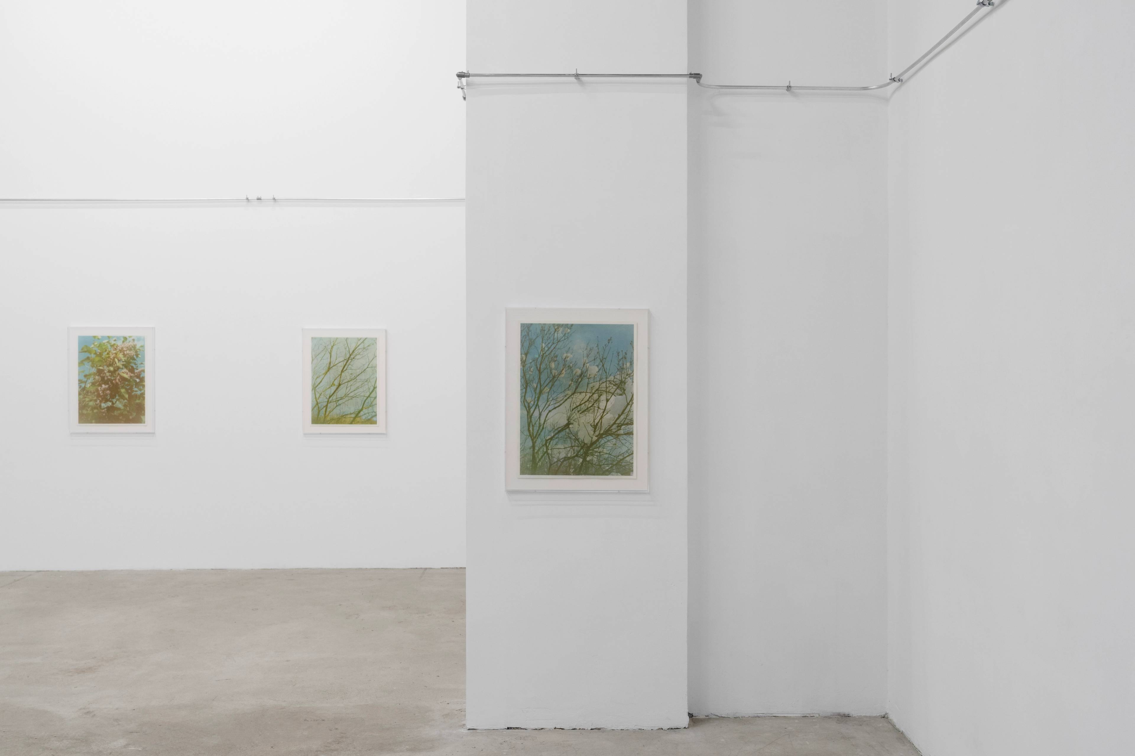 Media © Sweetwater 2025