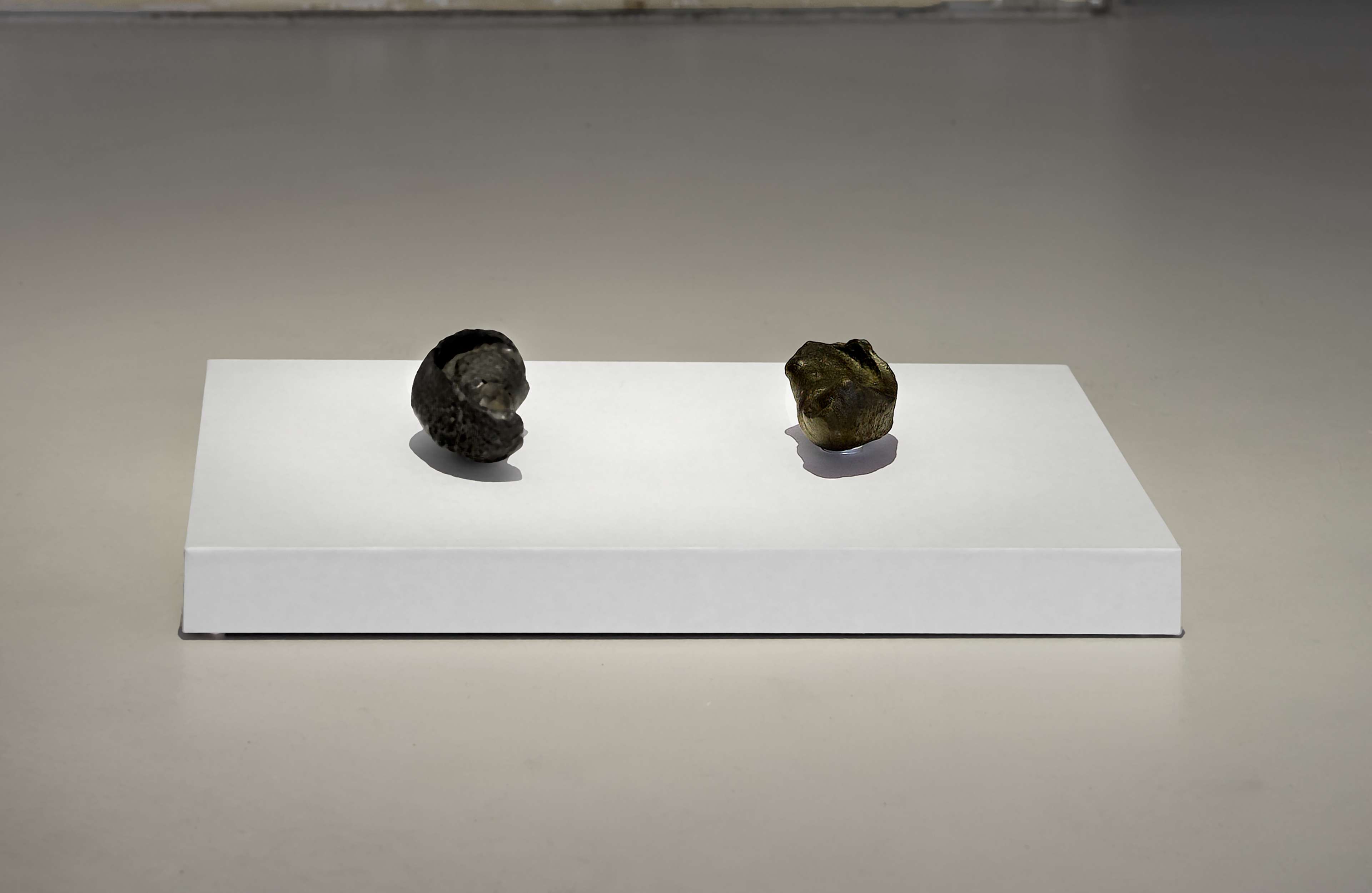 Media © Sweetwater 2025