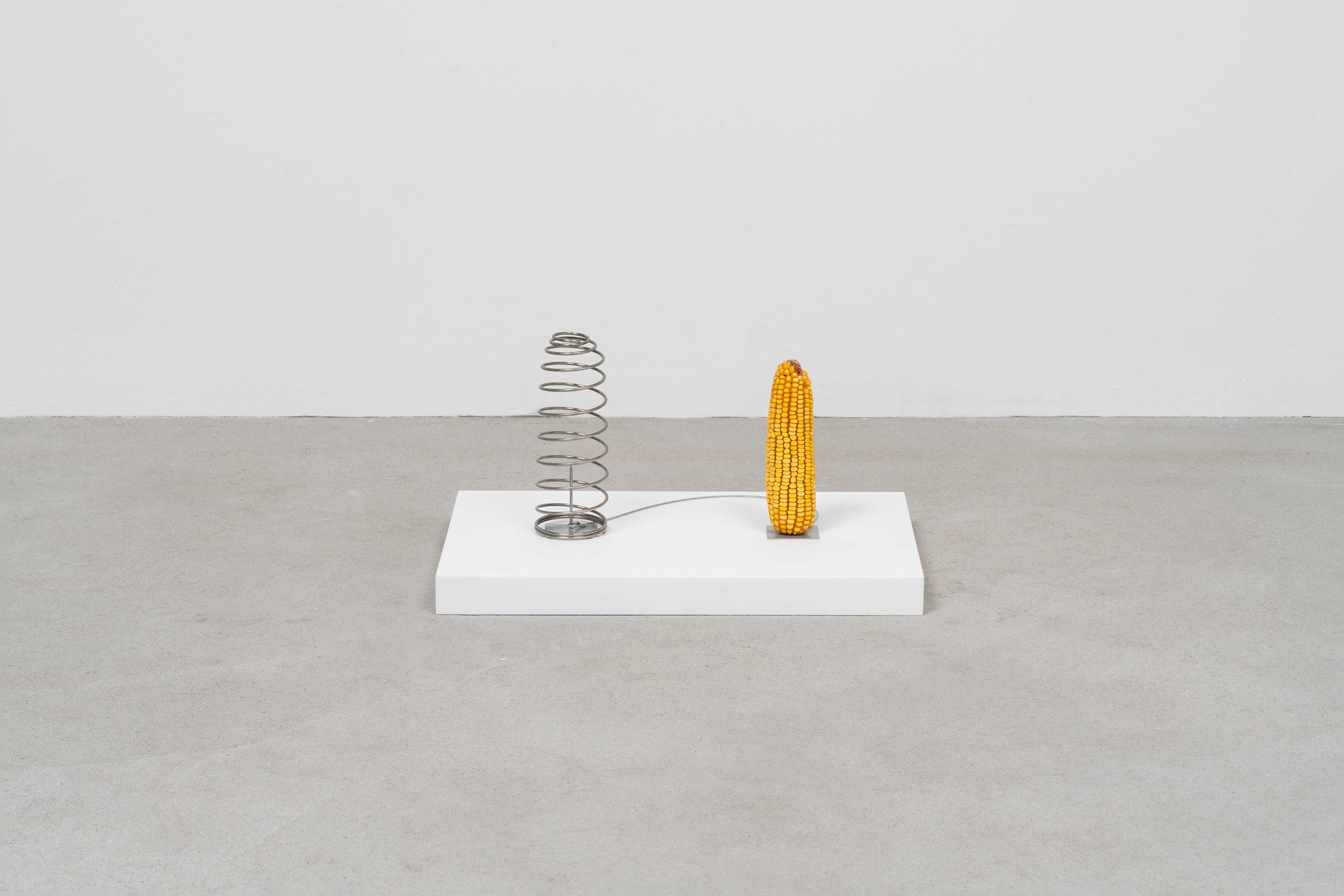 Jesse Stecklow
