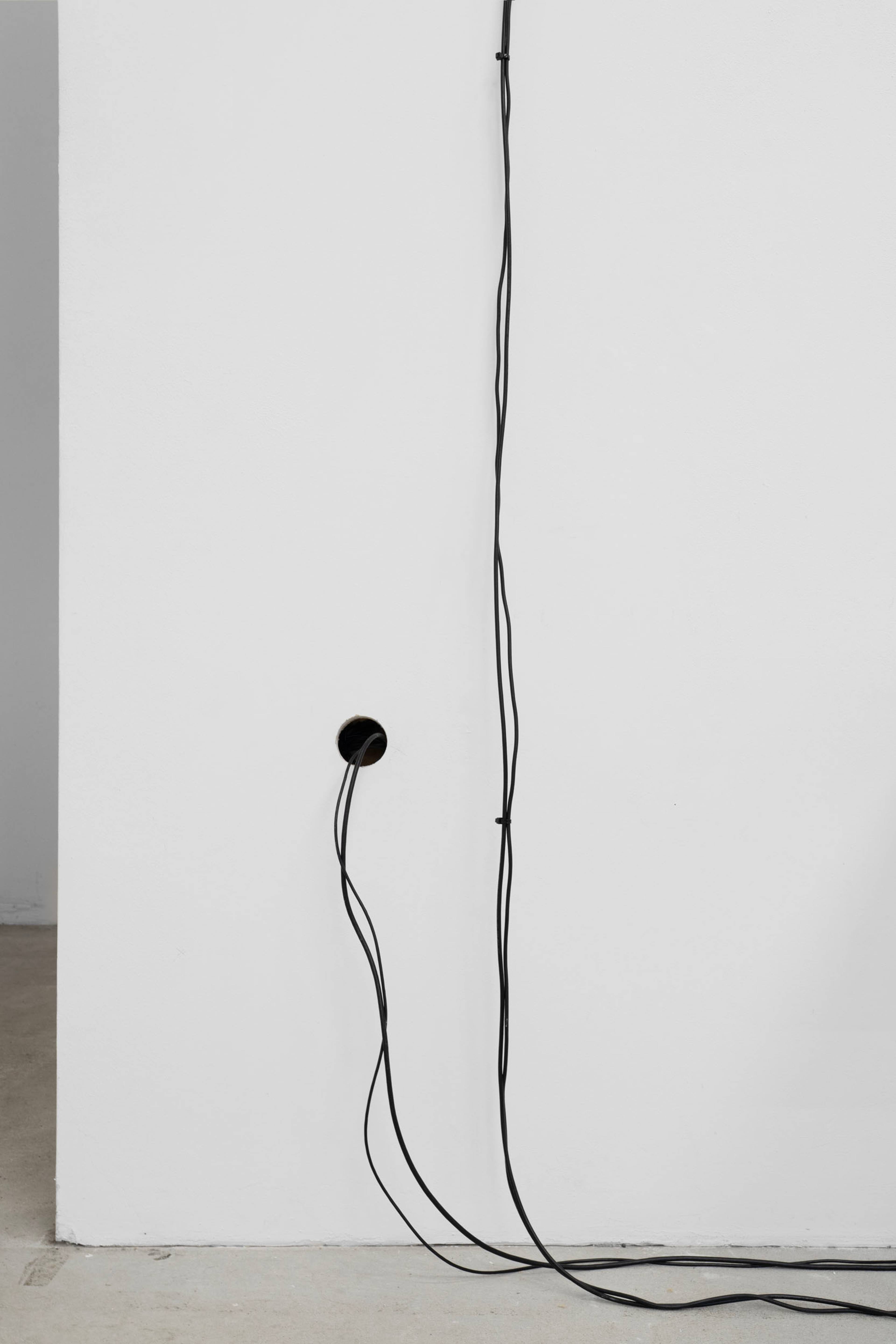 Media © Sweetwater 2026