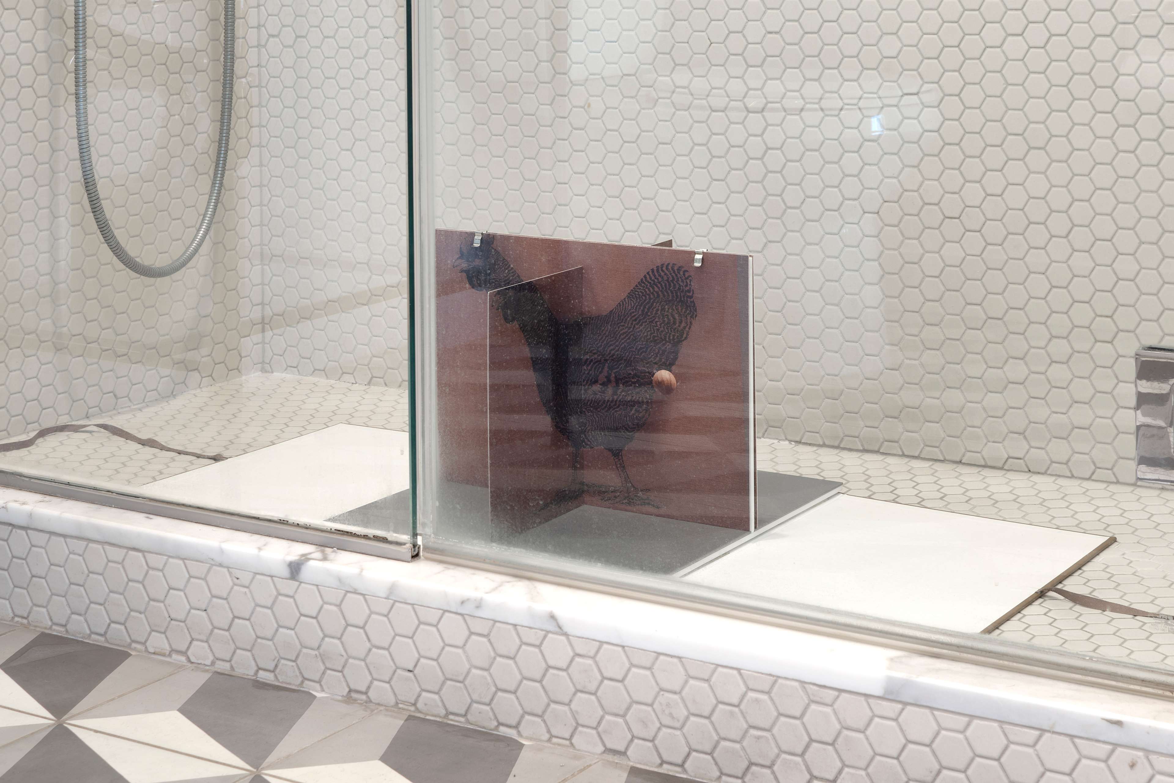 Media © Sweetwater 2025