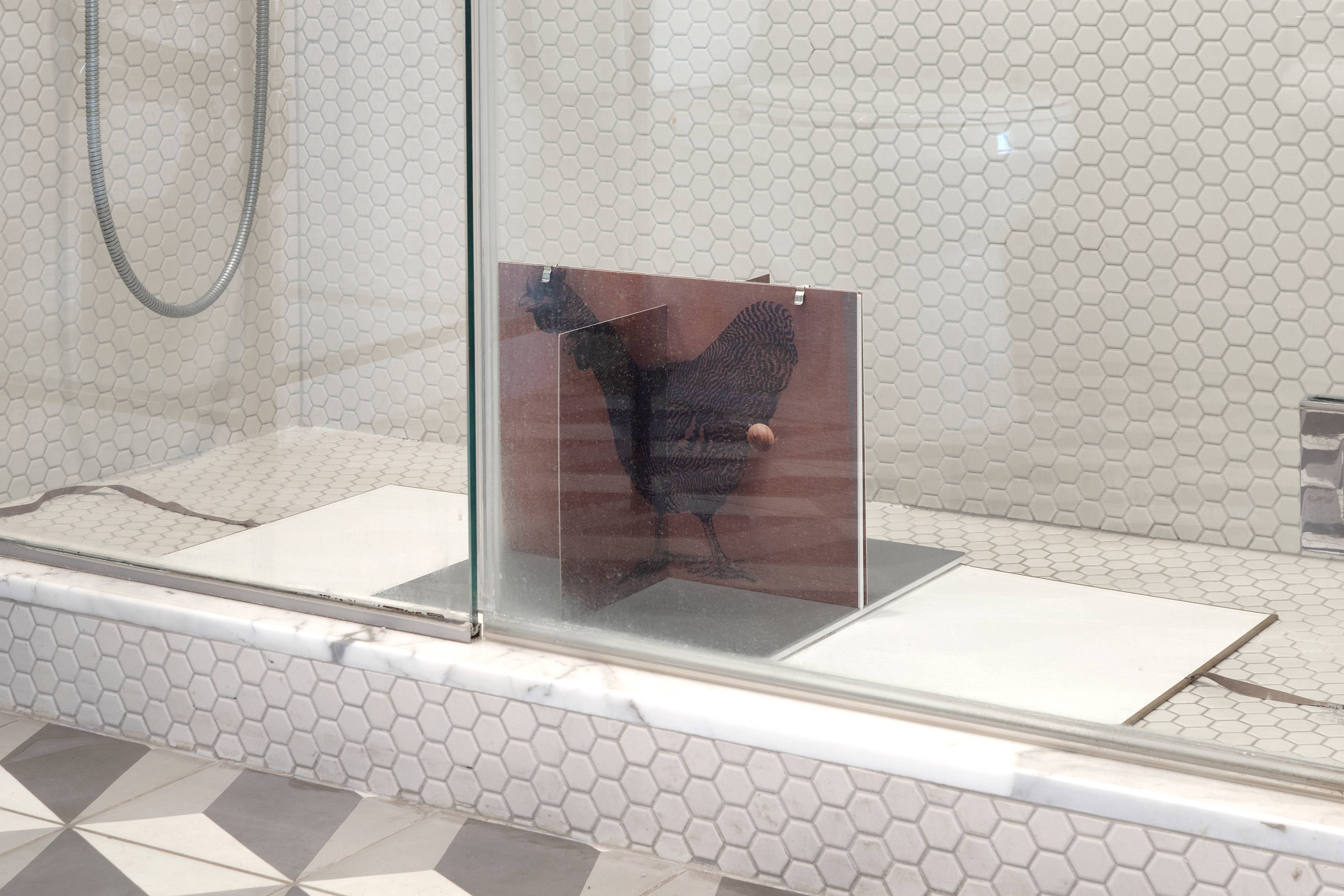 Media © Sweetwater 2025